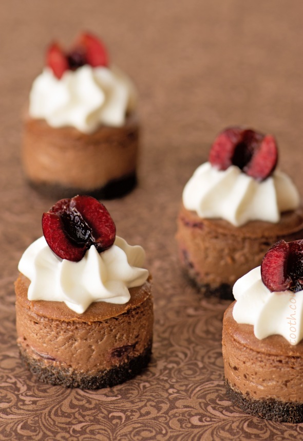 chocolate dark cherry mini cheesecakes